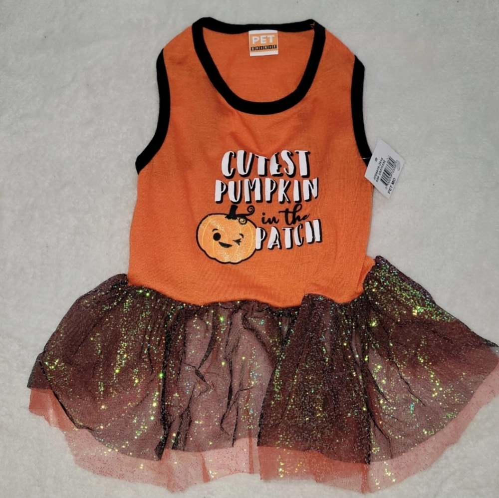 PET SPIRIT "Cutest Pumpkin In The Patch" DRESS Puppy/Dog MEDIUM Orange Halloween